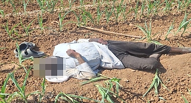 Akçakale'de mısır tarlasında şüpheli ölüm!... (Güncellendi)