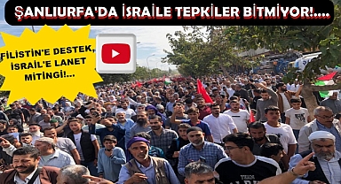 Şanlıurfa İHH' dan Filistin'e destek, İsrail'e lanet mitingi!...